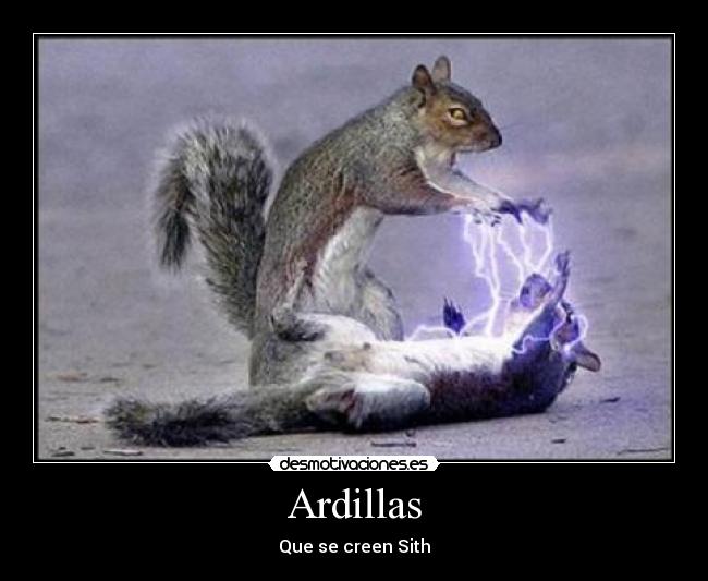 carteles star wars ardillas desmotivaciones