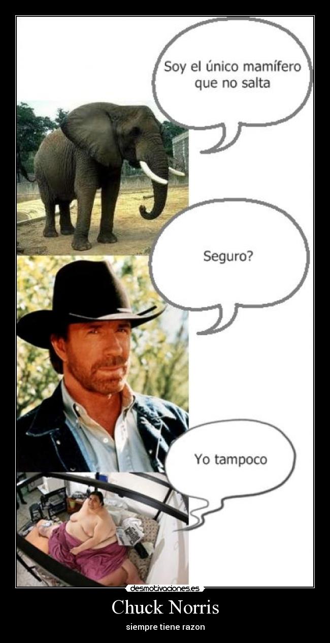 Chuck Norris - 