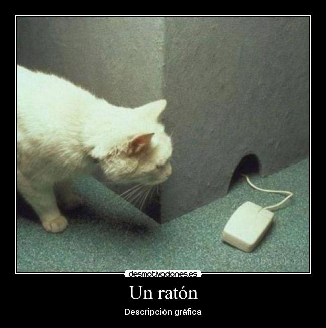 Un ratón -