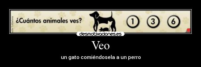 Veo - un gato comiéndosela a un perro