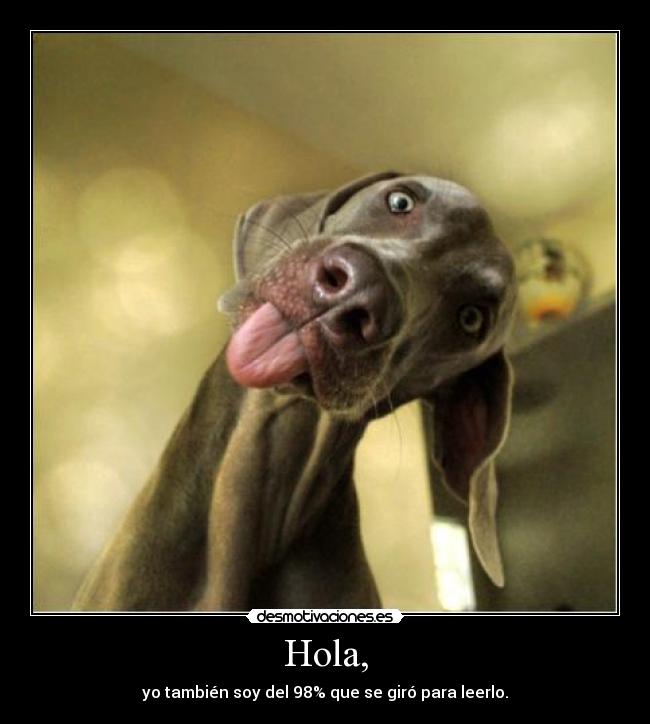Hola, - yo también soy del 98% que se giró para leerlo.