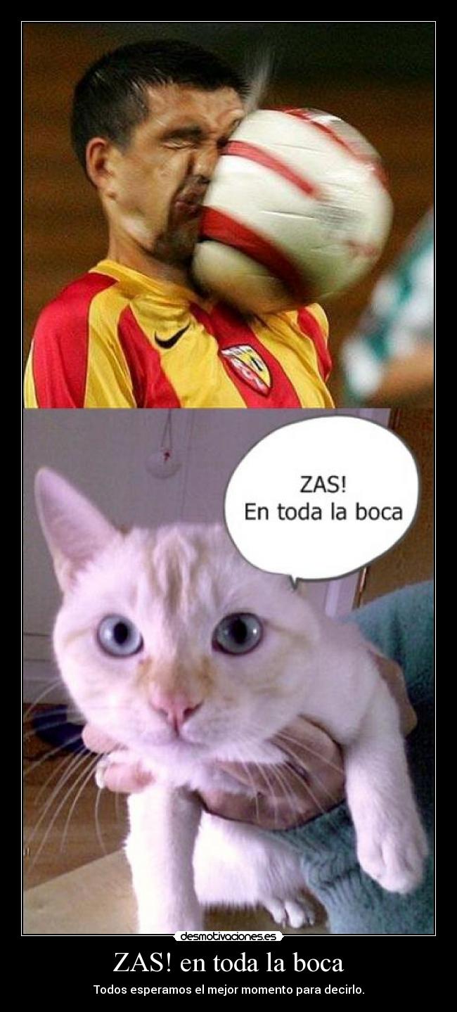 ZAS! en toda la boca - Todos esperamos el mejor momento para decirlo.