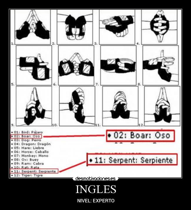 INGLES - NIVEL: EXPERTO