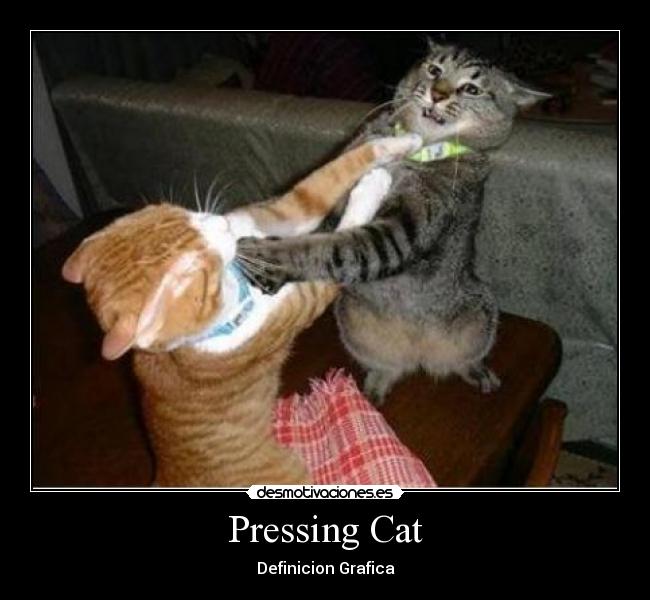 Pressing Cat - Definicion Grafica