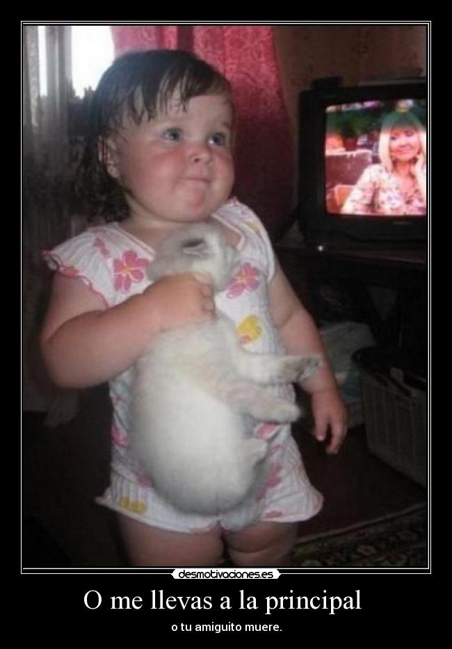 O me llevas a la principal  - 