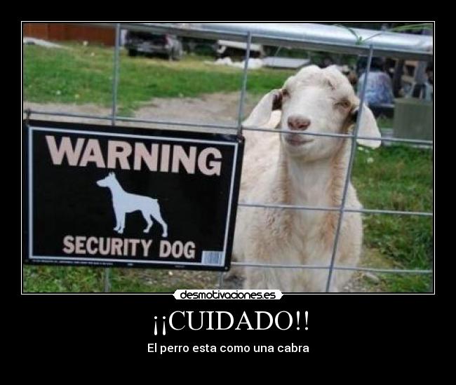 ¡¡CUIDADO!! - 