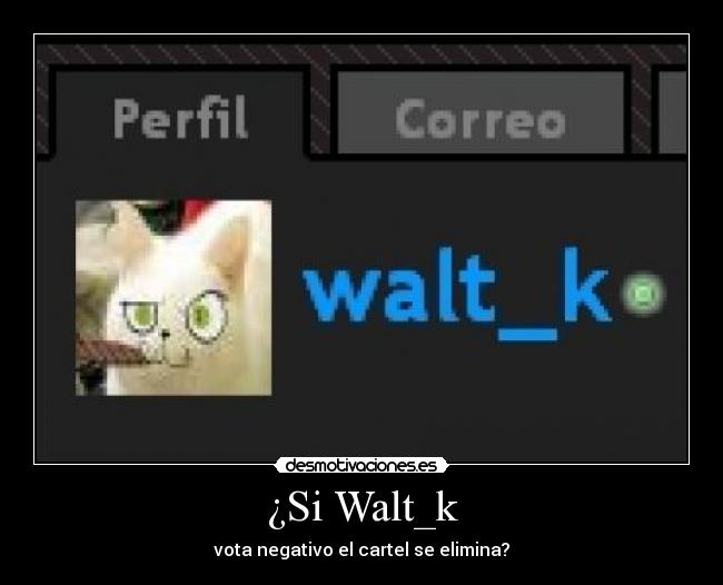¿Si Walt_k - 