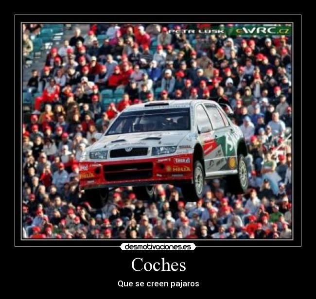 Coches - Que se creen pajaros