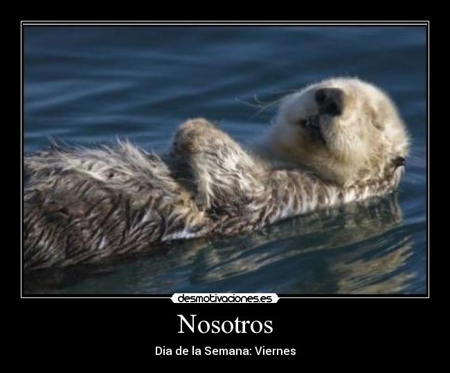 Nosotros -