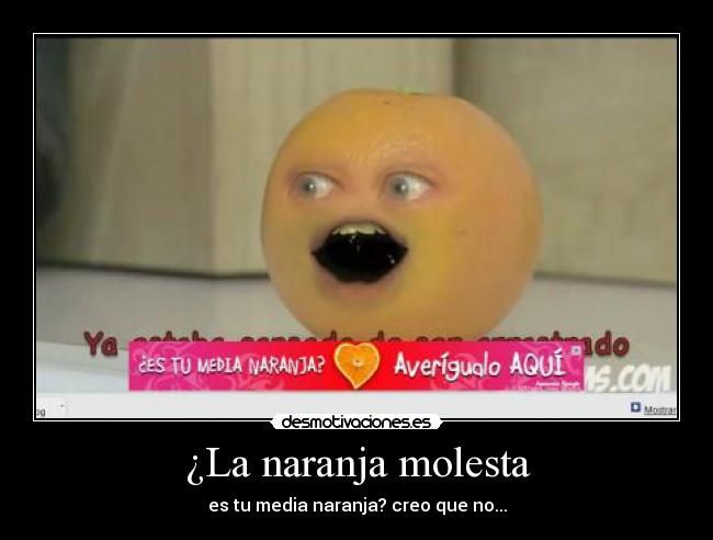 ¿La naranja molesta - es tu media naranja? creo que no...