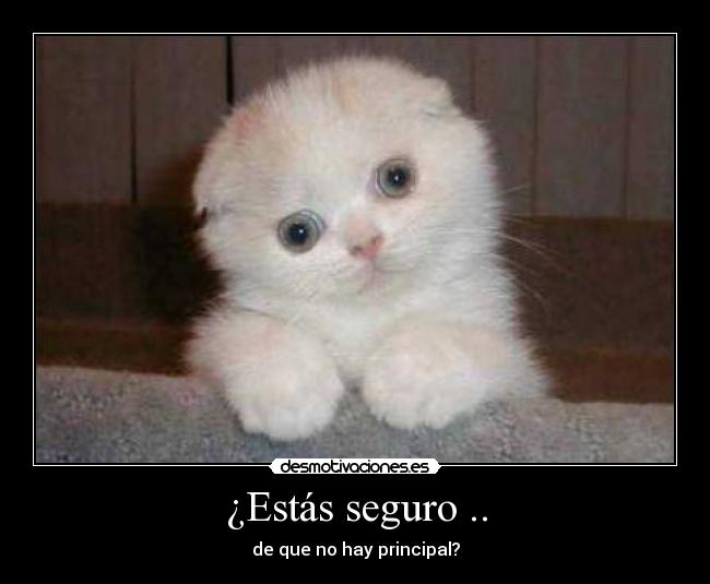 ¿Estás seguro .. - de que no hay principal?