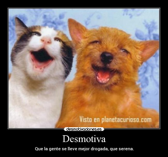 Desmotiva - Que la gente se lleve mejor drogada, que serena.