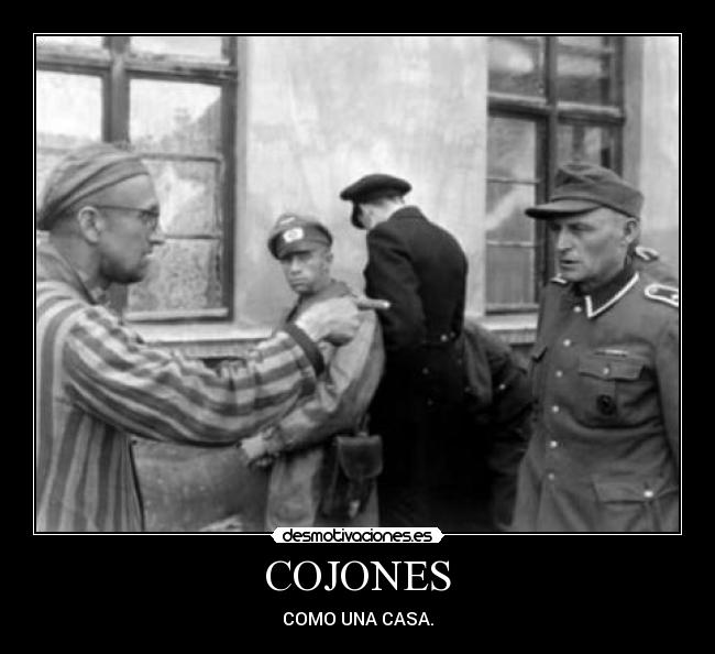 carteles cojones como casa desmotivaciones