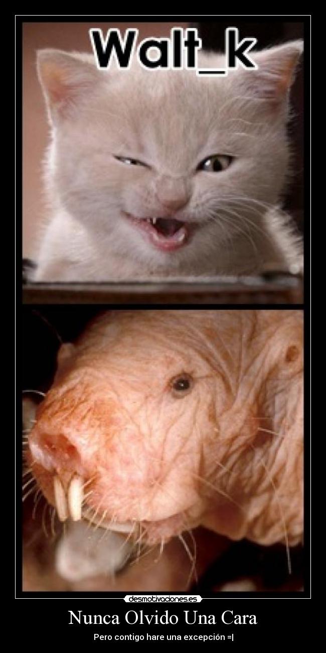 Nunca Olvido Una Cara - Pero contigo hare una excepción =|