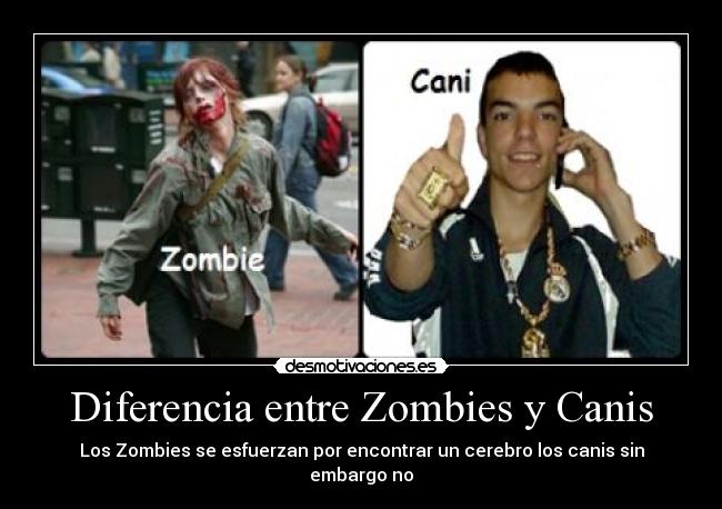 Diferencia entre Zombies y Canis -