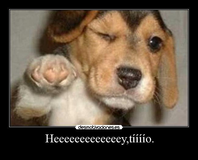 Heeeeeeeeeeeeey,tíííío. - 