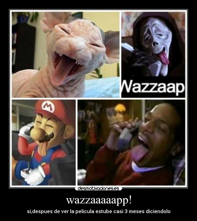 wazzaaaaapp! - 