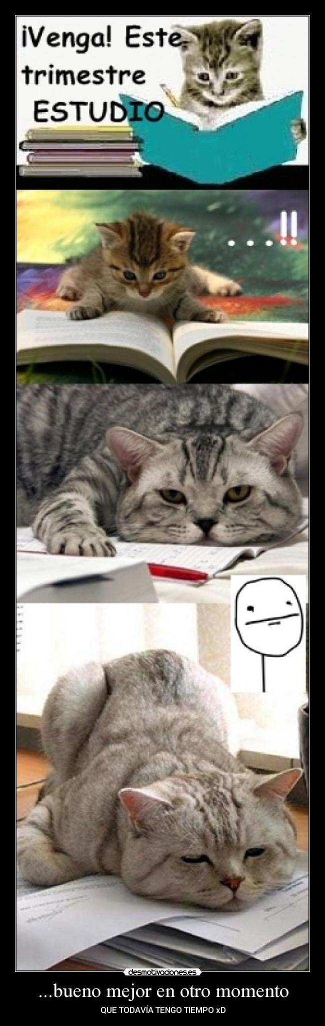 ...bueno mejor en otro momento -