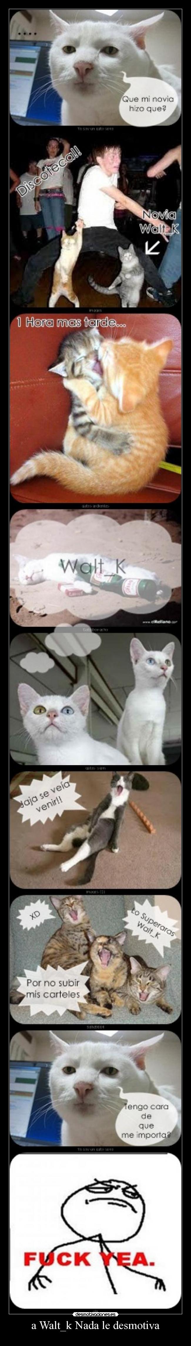 a Walt_k Nada le desmotiva -