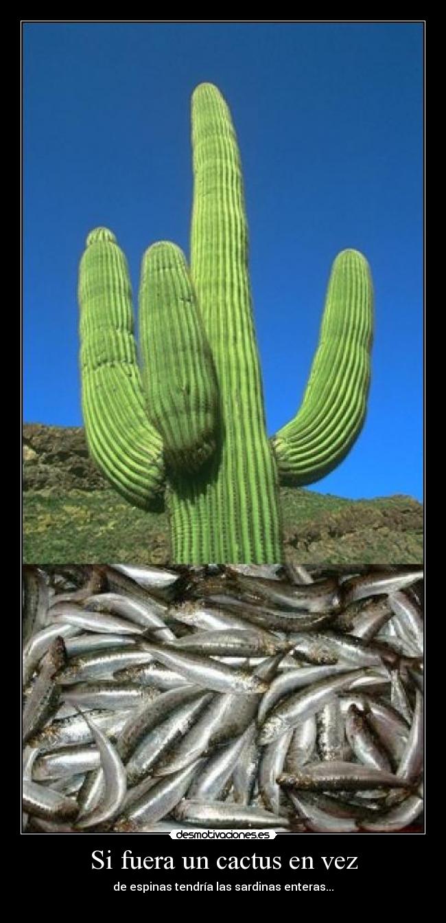 Si fuera un cactus en vez - de espinas tendría las sardinas enteras...

