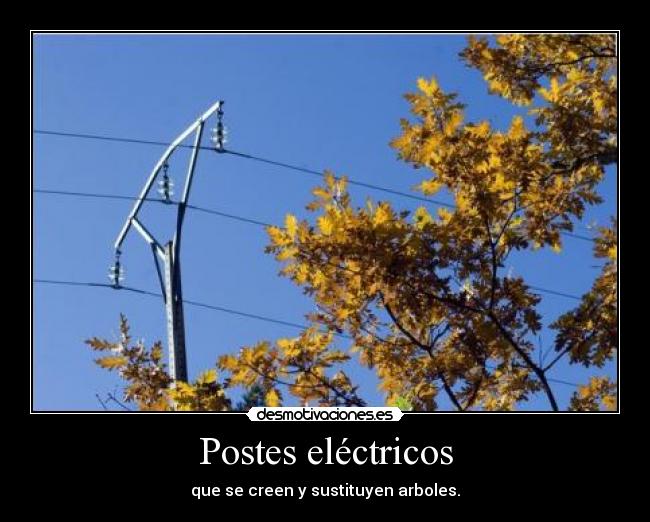 carteles arbolnaturaleza desmotivaciones