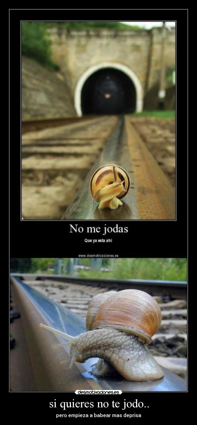 carteles caracol tren corre desmotivaciones