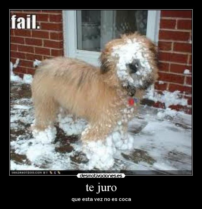 te juro - que esta vez no es coca