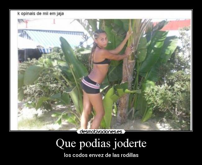 Que podias joderte -