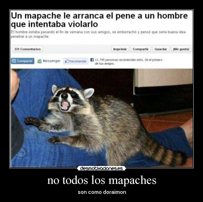 no todos los mapaches -