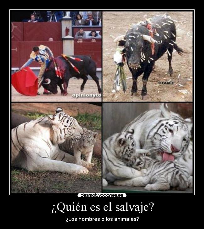 ¿Quién es el salvaje? - 