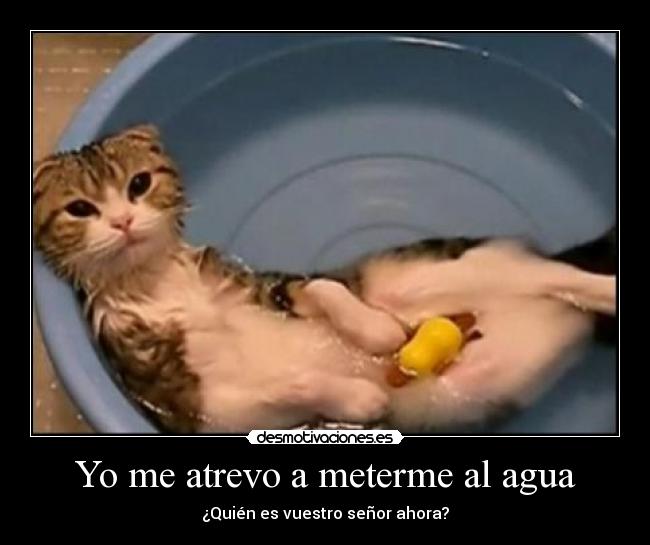 Yo me atrevo a meterme al agua -