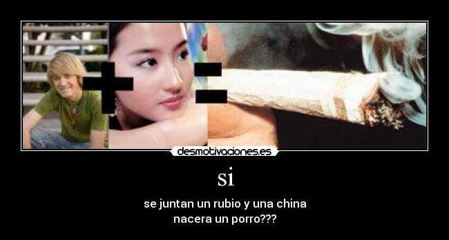 si - se juntan un rubio y una china
nacera un porro???