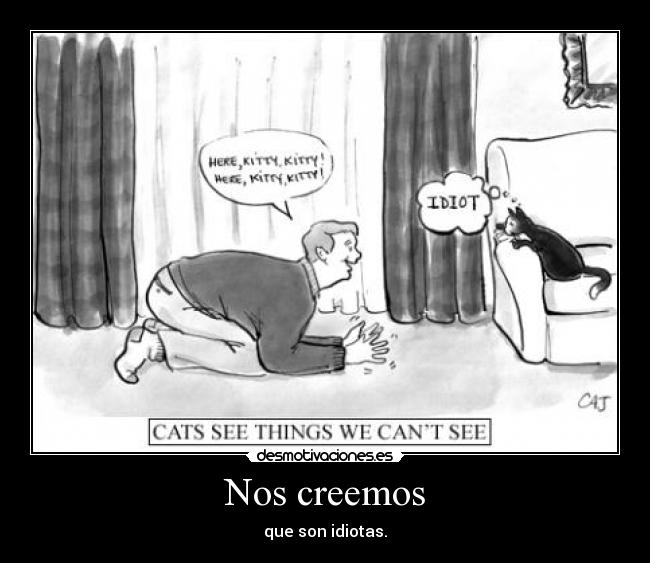 Nos creemos - que son idiotas.