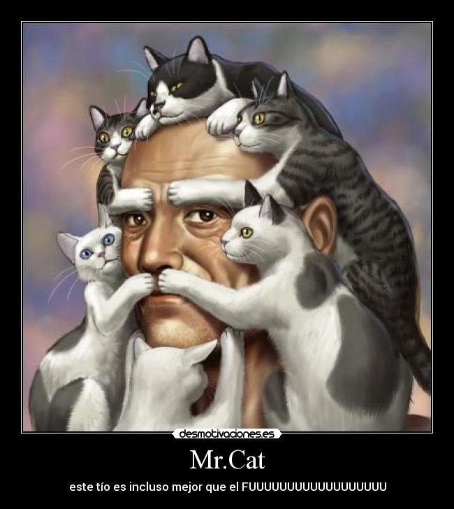 carteles fuuuuuuuuuuuuu gatos mr cat mejor friki amorfo yuju sexo porno tetas troll face pedobear desmotivaciones