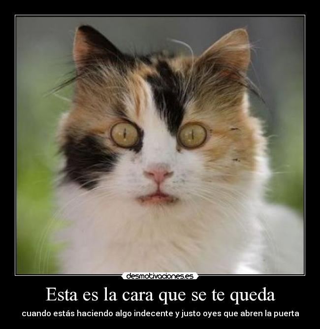 Esta es la cara que se te queda - cuando estás haciendo algo indecente y justo oyes que abren la puerta