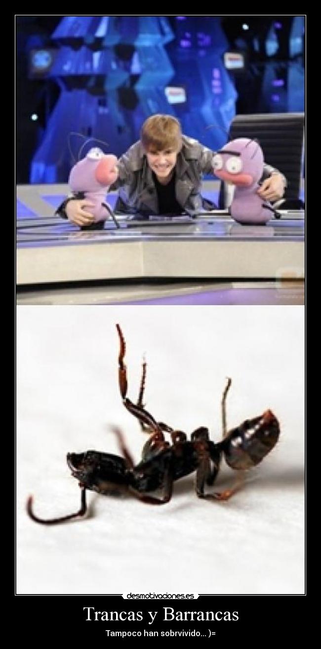 Trancas y Barrancas - Tampoco han sobrvivido... )=
