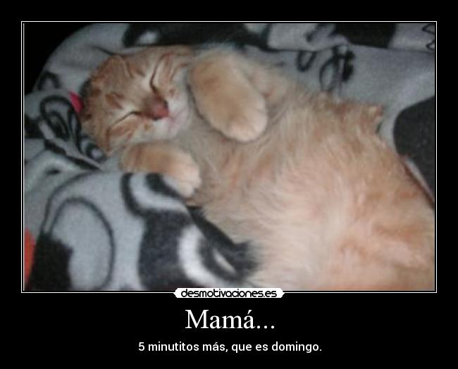 Mamá... - 5 minutitos más, que es domingo.