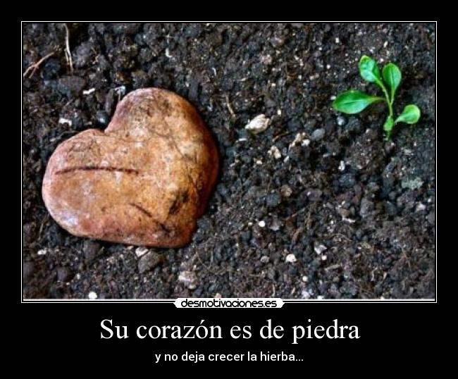 Su corazón es de piedra - y no deja crecer la hierba...
