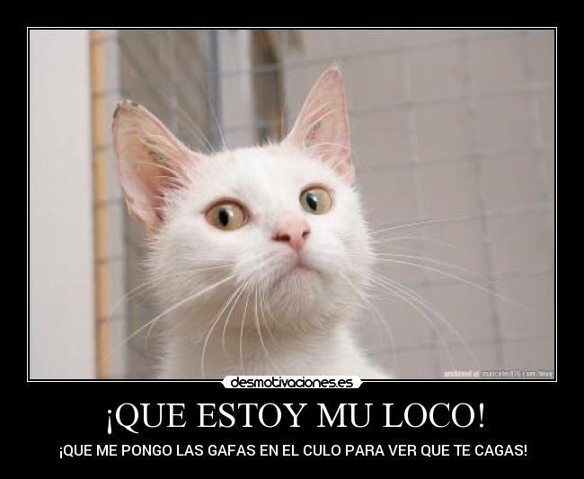 ¡QUE ESTOY MU LOCO! -