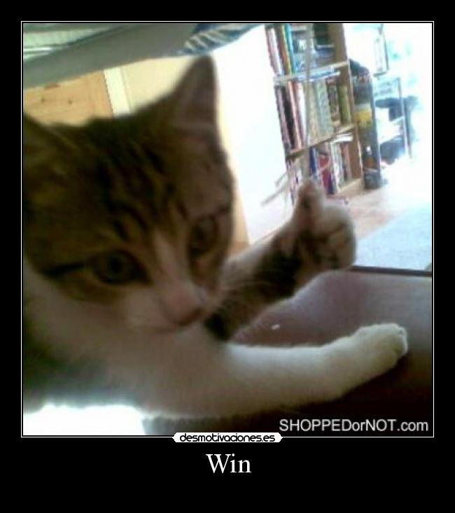 Win - 
