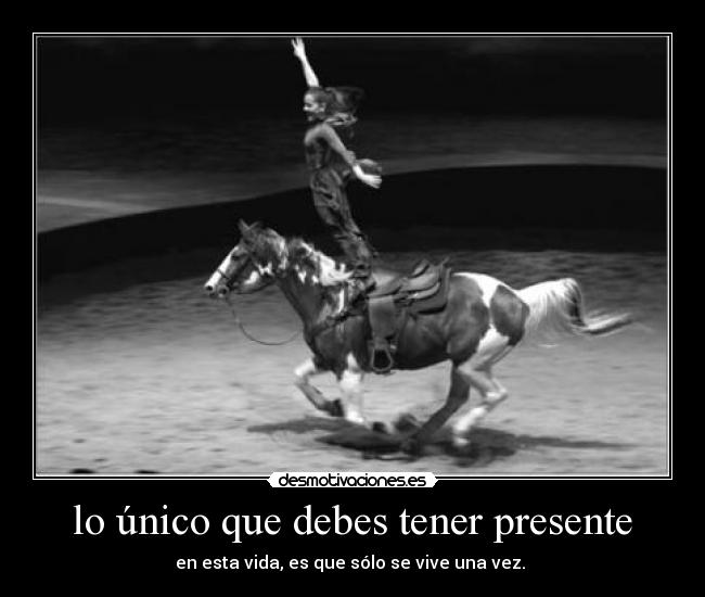 carteles caballo desmotivaciones