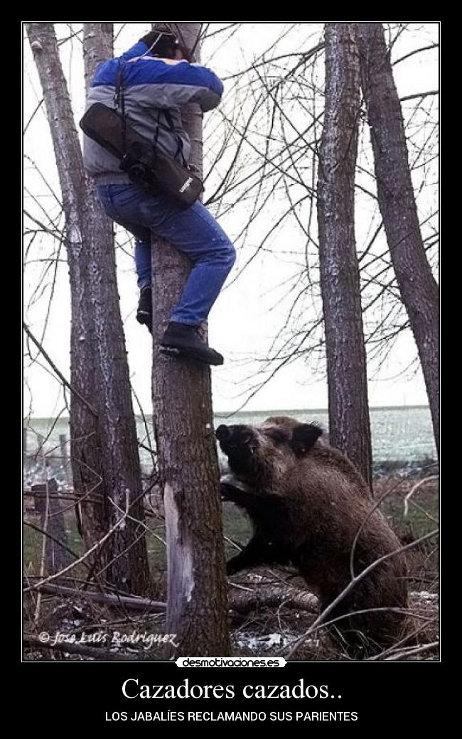 Cazadores cazados.. -