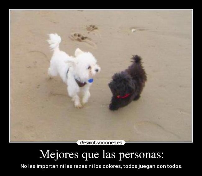 Mejores que las personas: - 