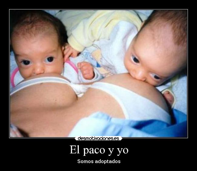 carteles paco yo yo molamos adoptados somos justin bieber desmotivaciones