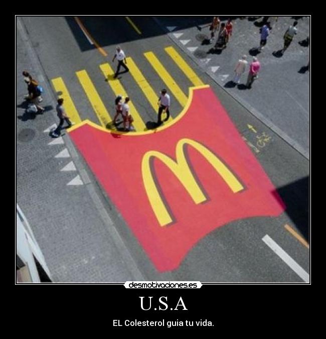 U.S.A - EL Colesterol guia tu vida.