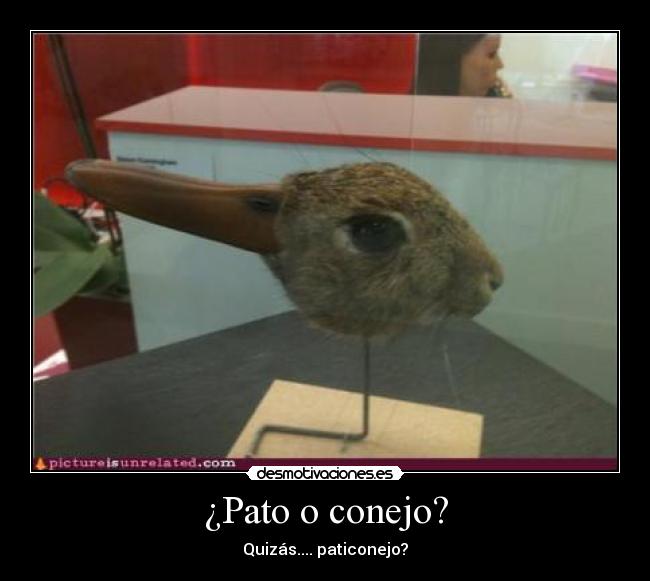 ¿Pato o conejo? - 