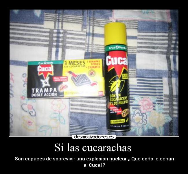 Si las cucarachas  - 