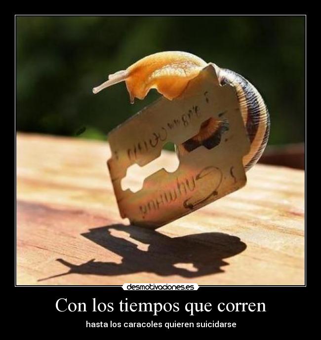Con los tiempos que corren - hasta los caracoles quieren suicidarse