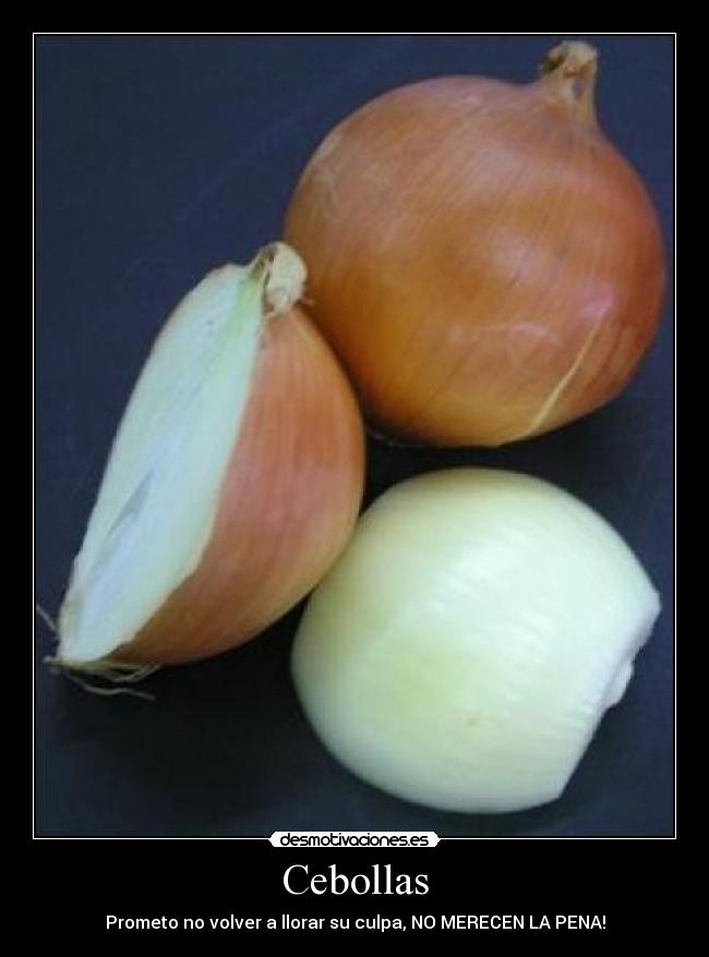 Cebollas - Prometo no volver a llorar su culpa, NO MERECEN LA PENA!