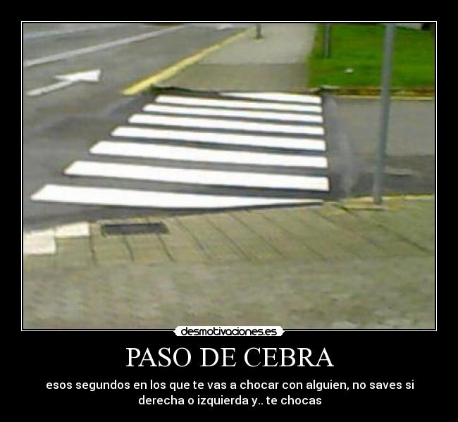 PASO DE CEBRA -